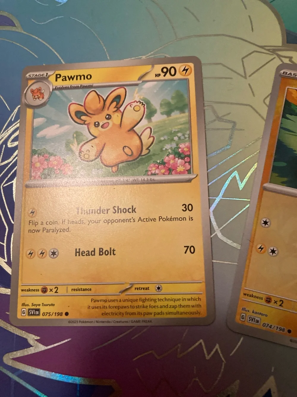 Pokemon Pawmo & Pawmi Yellow Electric Trading Cards Set